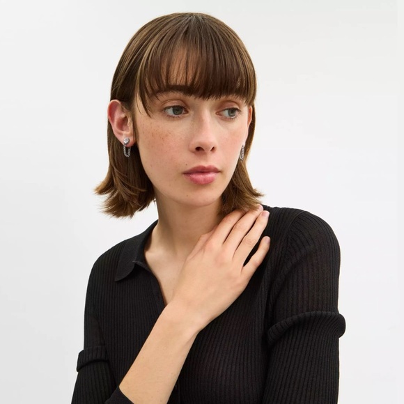 NWT Coach Tea Rose Chain Earrings - Picture 2 of 4